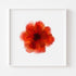 Orange Rose Flower Art Print